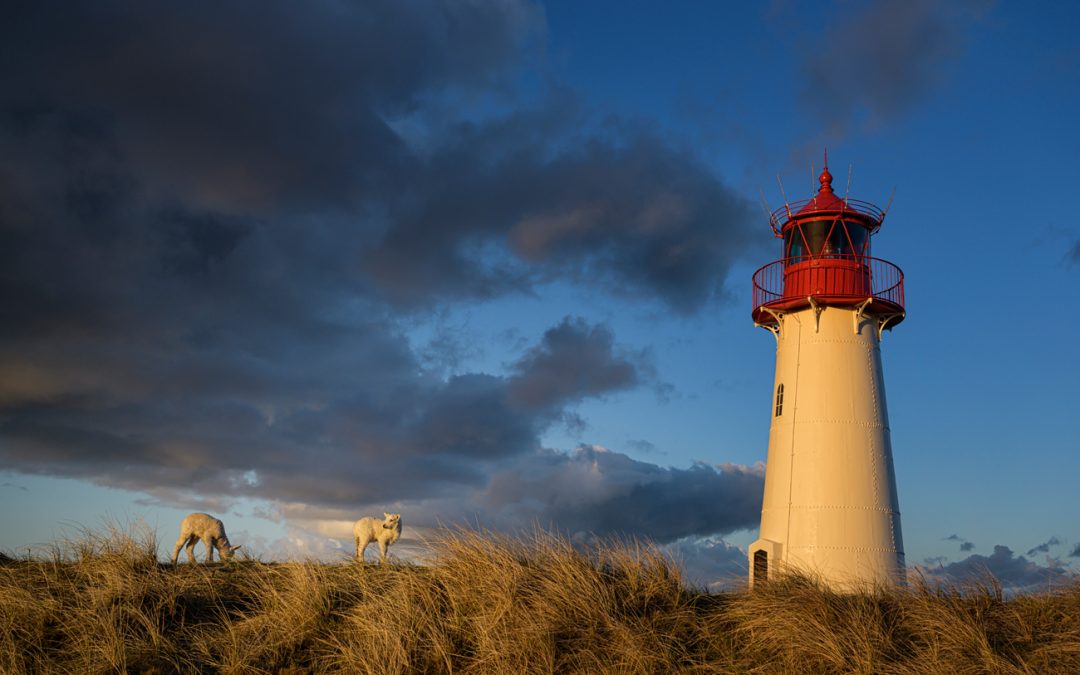 Sylt – die Insel des Genusses