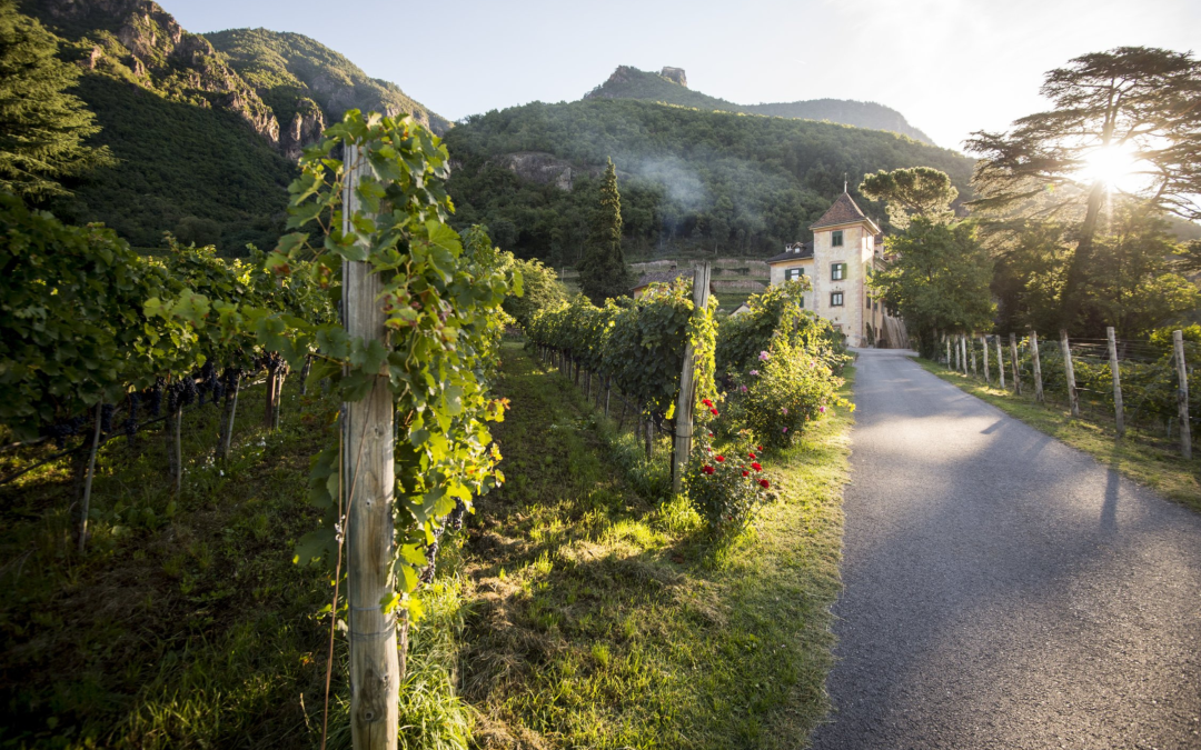 Gault&Millau Weingut der Woche