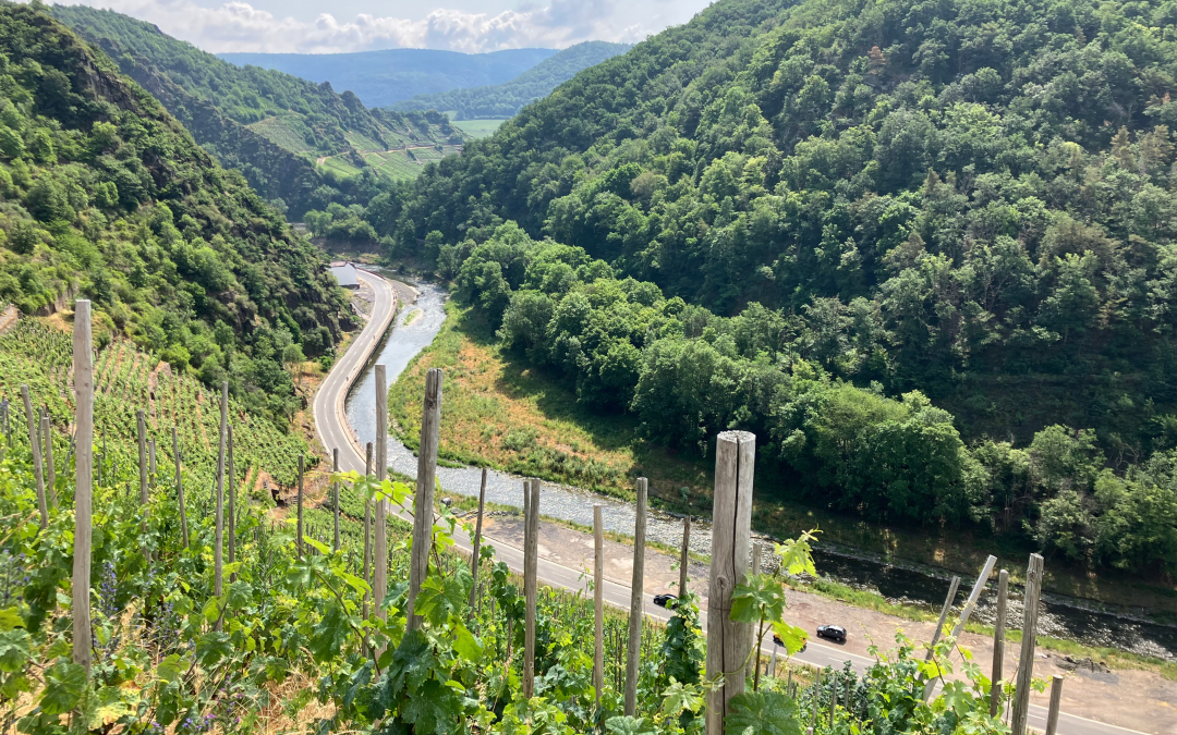 Zwei Jahre nach der Flut wollen die Ahr-Winzer nur noch nach vorne schauen