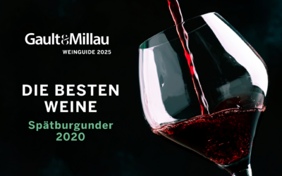 Unsere Top-Weine im Weinguide 2025: Entdecken Sie die besten Spätburgunder 2020